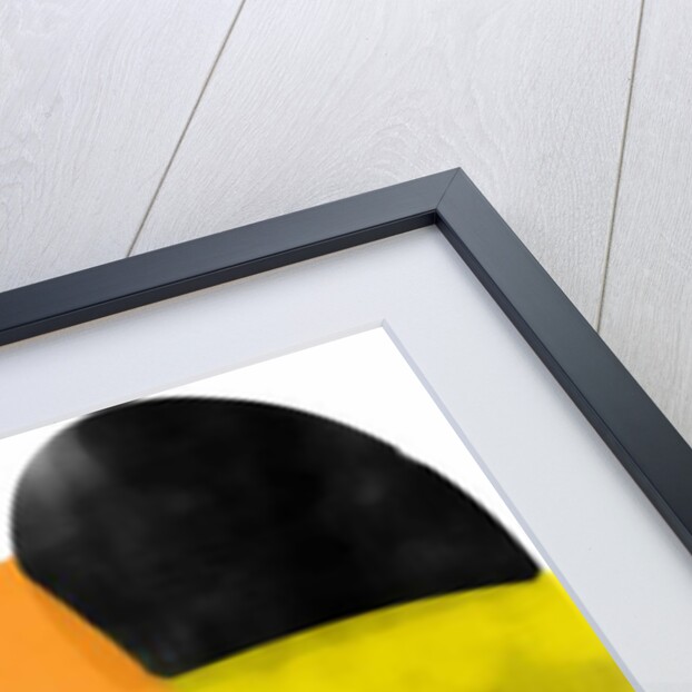 Biology, 2017 by Alex Caminker