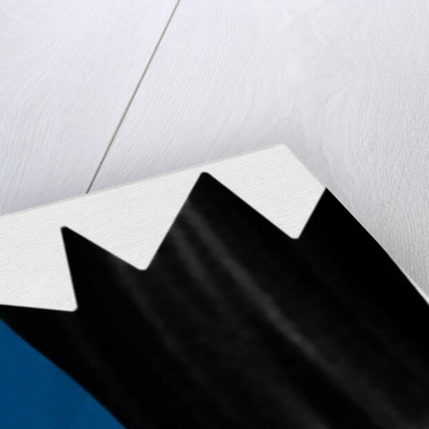 Nature crowns, 2017 by Alex Caminker