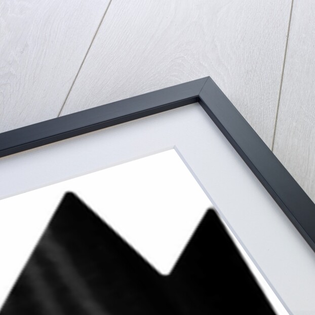 Nature crowns, 2017 by Alex Caminker