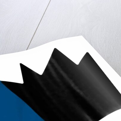 Nature crowns, 2017 by Alex Caminker