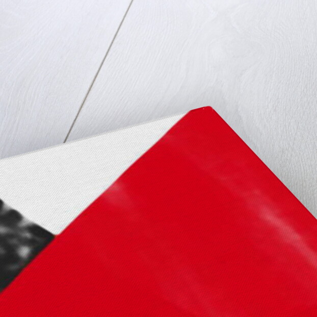 Red triangle, 2017 by Alex Caminker