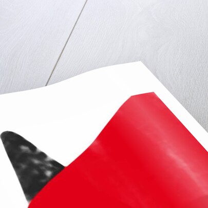 Red triangle, 2017 by Alex Caminker