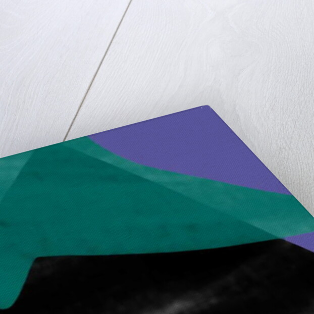 Bird as ashadow on the mountain at night, 2017 by Alex Caminker