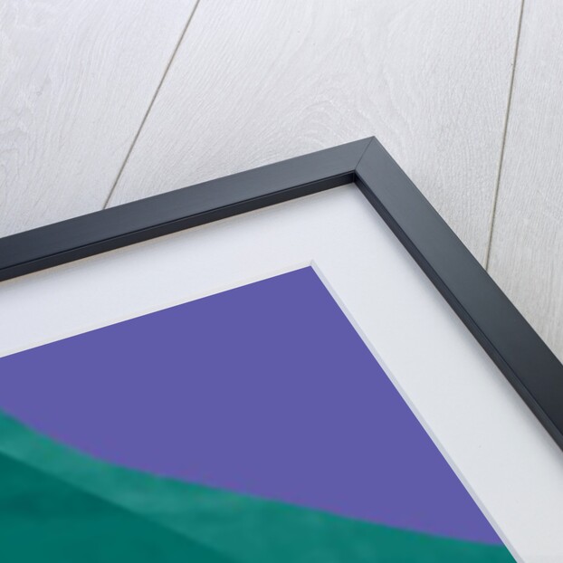 Bird as ashadow on the mountain at night, 2017 by Alex Caminker