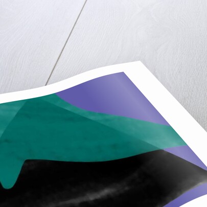 Bird as ashadow on the mountain at night, 2017 by Alex Caminker