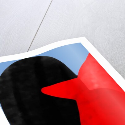 Night bird, 2017 by Alex Caminker