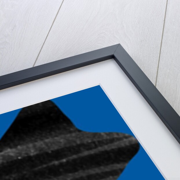 Planets, 2017 by Alex Caminker