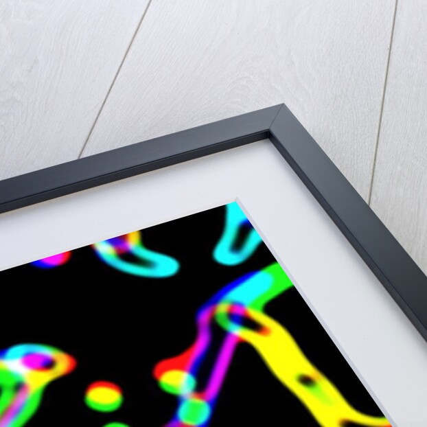 Bones, 2017 by Alex Caminker