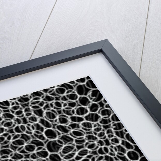 Infinite, 2017 by Alex Caminker