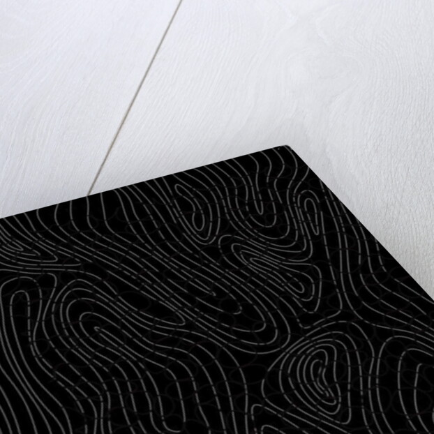 Tree rings, 2017 by Alex Caminker