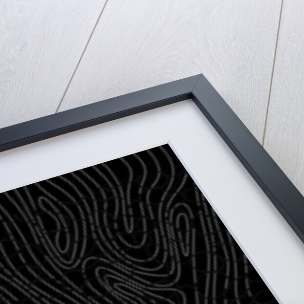 Tree rings, 2017 by Alex Caminker