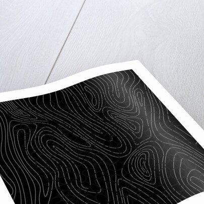 Tree rings, 2017 by Alex Caminker