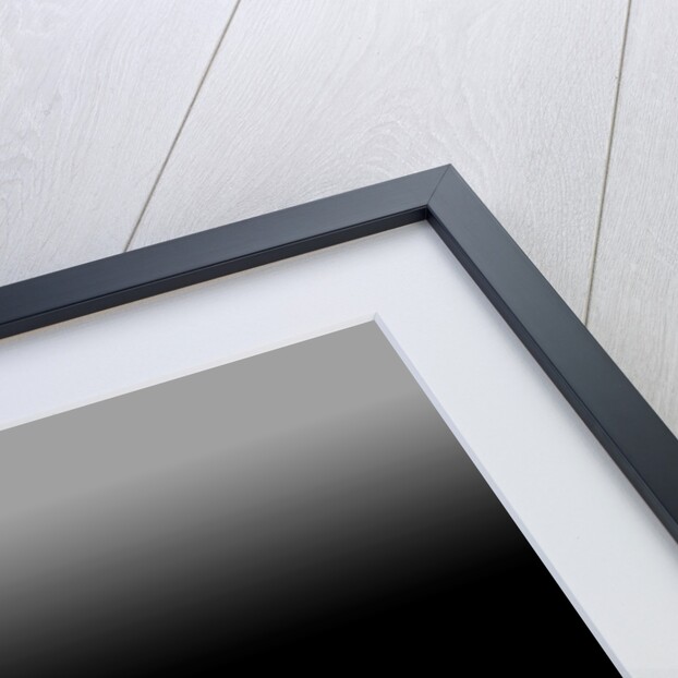 Untitled, 2019 by Alex Caminker