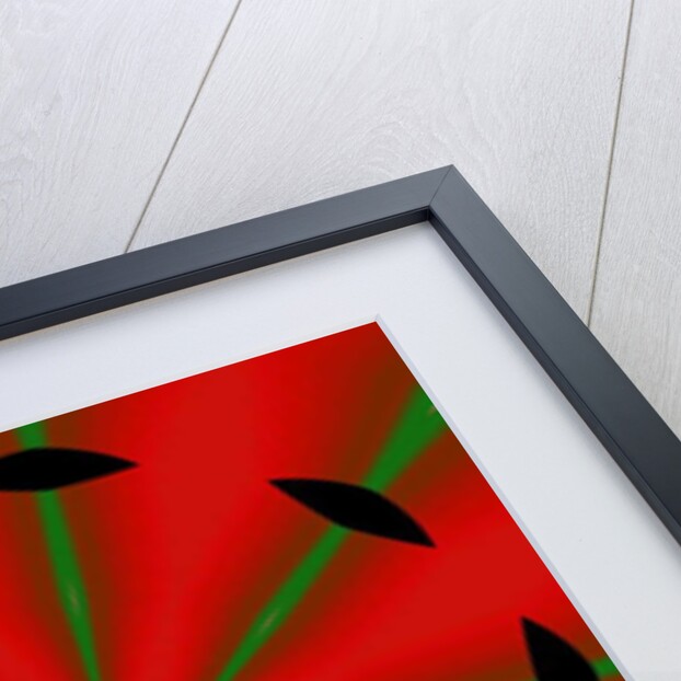 Flowers #2, 2019 by Alex Caminker