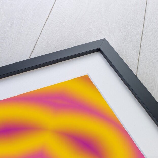 Flowers #1, 2019 by Alex Caminker