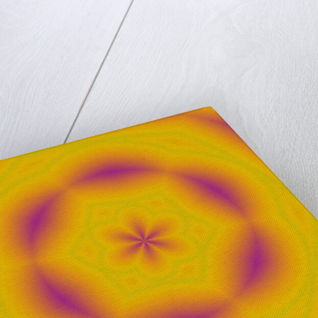 Flowers #6, 2019 by Alex Caminker