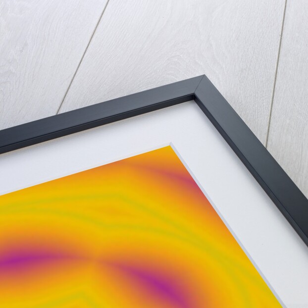 Flowers #6, 2019 by Alex Caminker