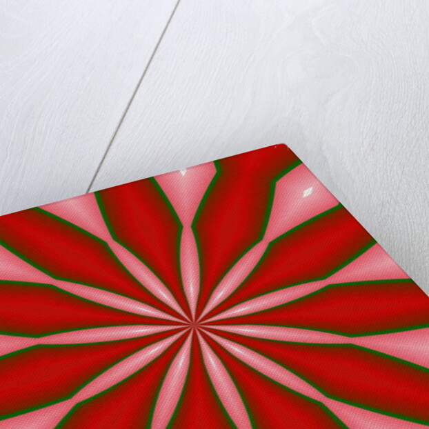 Flowers #3, 2019 by Alex Caminker