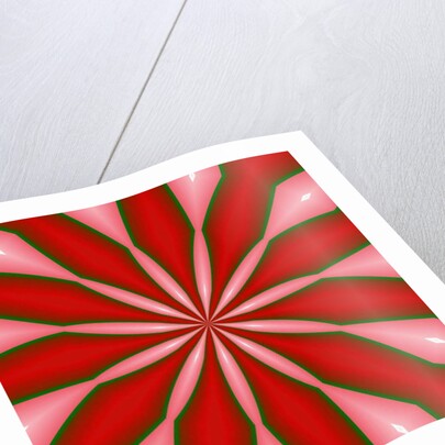 Flowers #3, 2019 by Alex Caminker