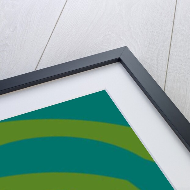 Ornament #13, 2019 by Alex Caminker