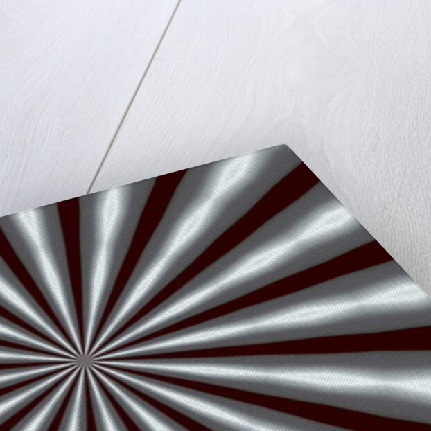 Ornament #10, 2019 by Alex Caminker