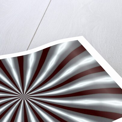 Ornament #10, 2019 by Alex Caminker