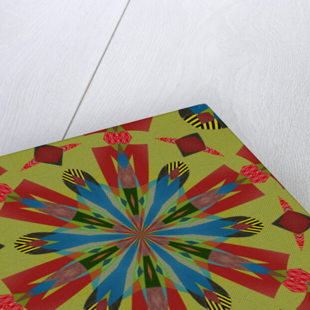 Ornament #80, 2019 by Alex Caminker