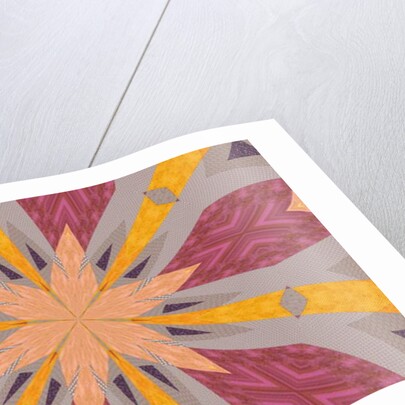 Ornament 73, 2019 by Alex Caminker