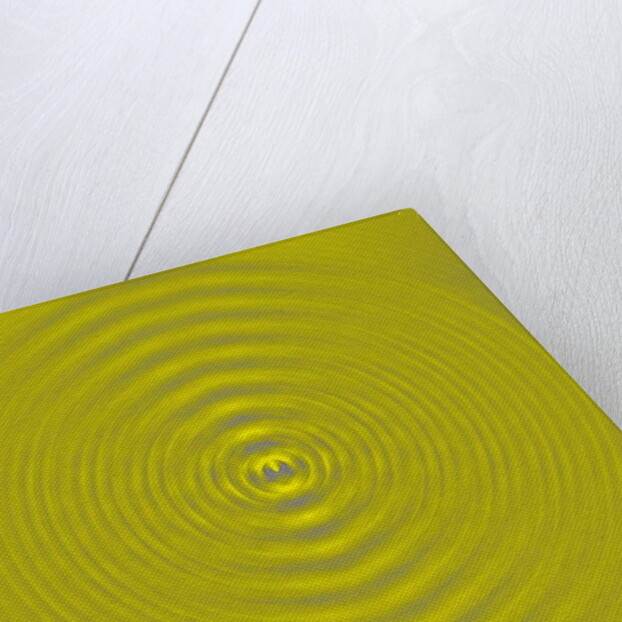 Vibrations, 2019 by Alex Caminker