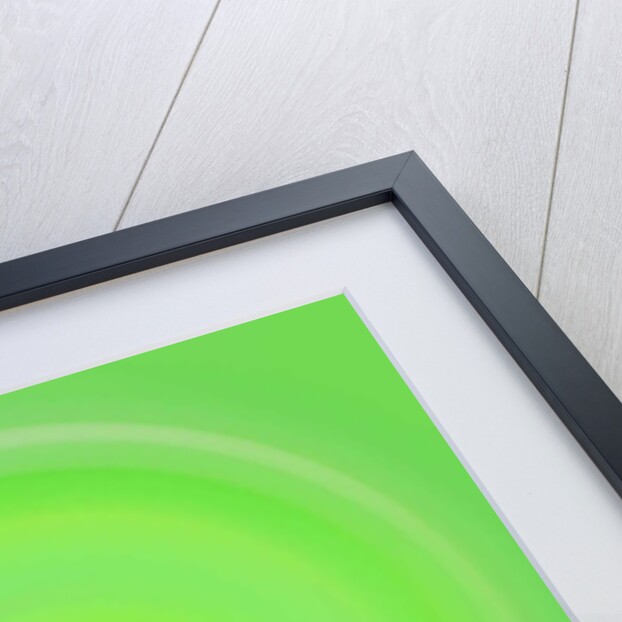 Untitled, 2019 by Alex Caminker