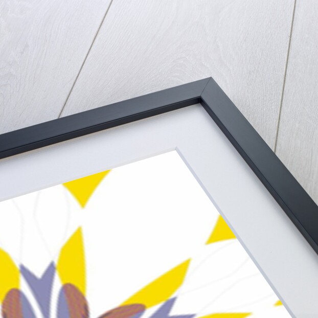 Cornflower, 2019 by Alex Caminker