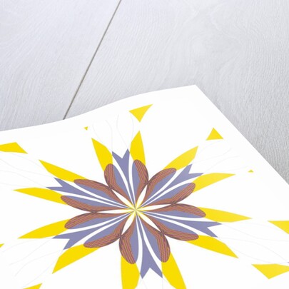 Cornflower, 2019 by Alex Caminker