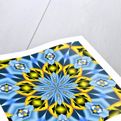 Walnut, 2019 by Alex Caminker