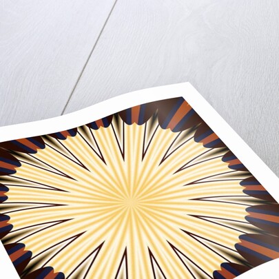 Attack and defense, 2019 by Alex Caminker