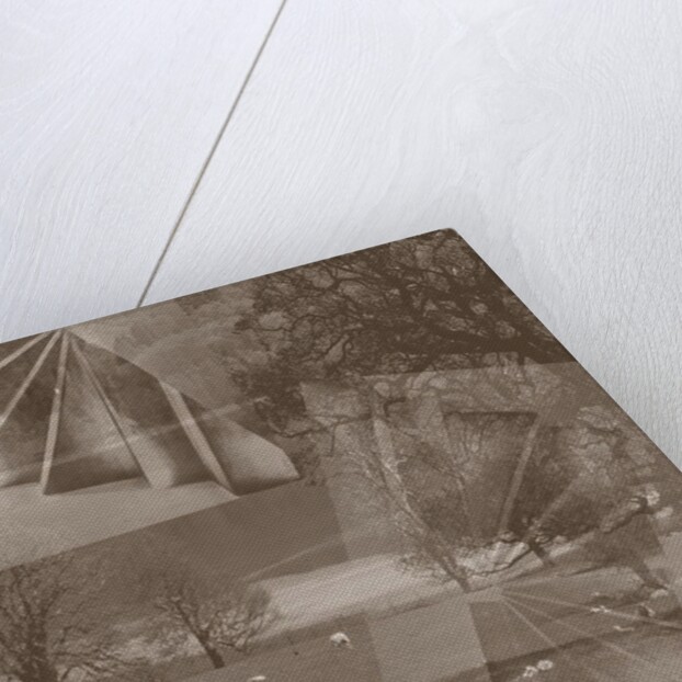 Sheep, 2019 by Alex Caminker