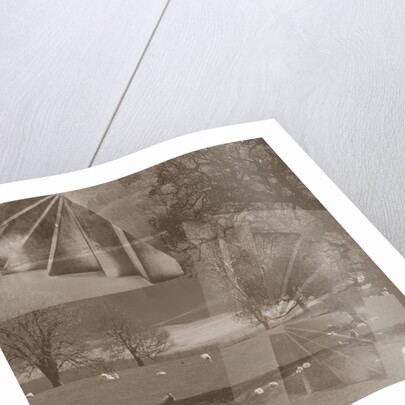 Sheep, 2019 by Alex Caminker