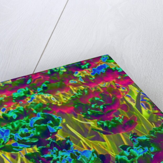 Garden, 2019 by Alex Caminker