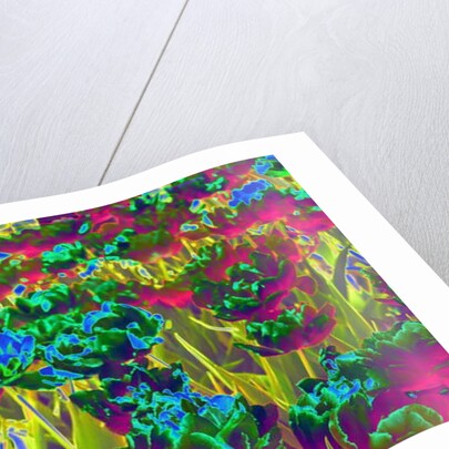 Garden, 2019 by Alex Caminker