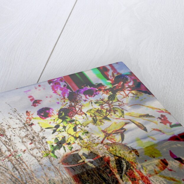 Still life, 2019 by Alex Caminker