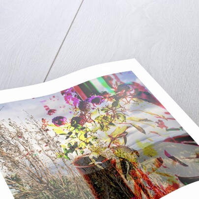 Still life, 2019 by Alex Caminker