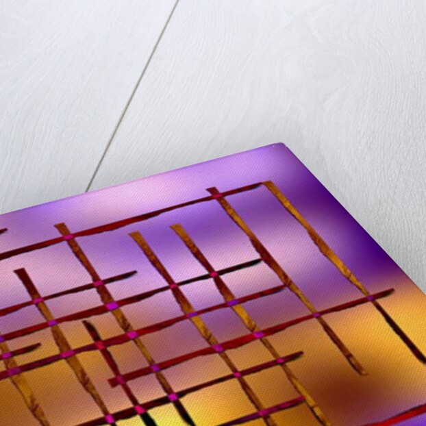 Inseparability, 2019 by Alex Caminker