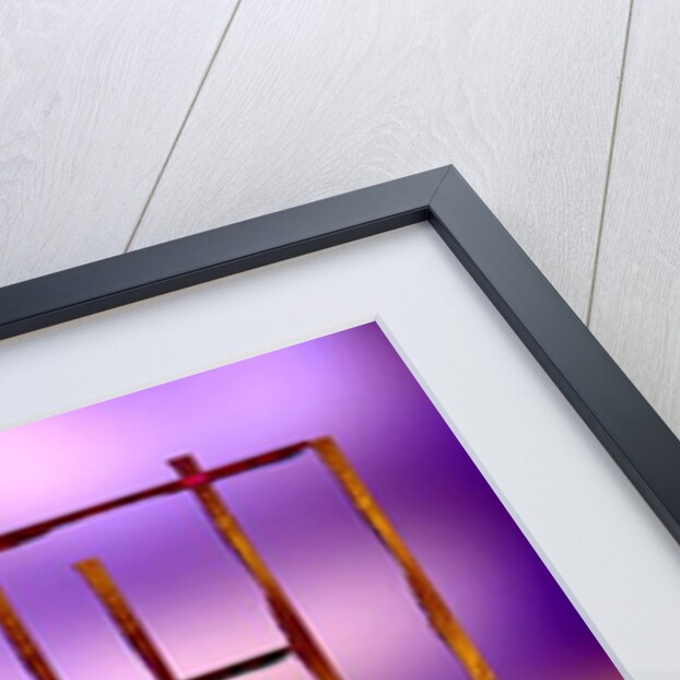 Inseparability, 2019 by Alex Caminker