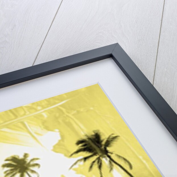 Clarity fog, 2019 by Alex Caminker