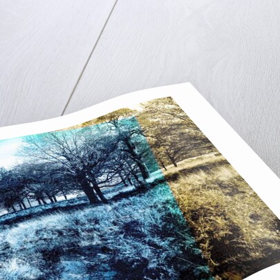 Blue Note, 2019 by Alex Caminker