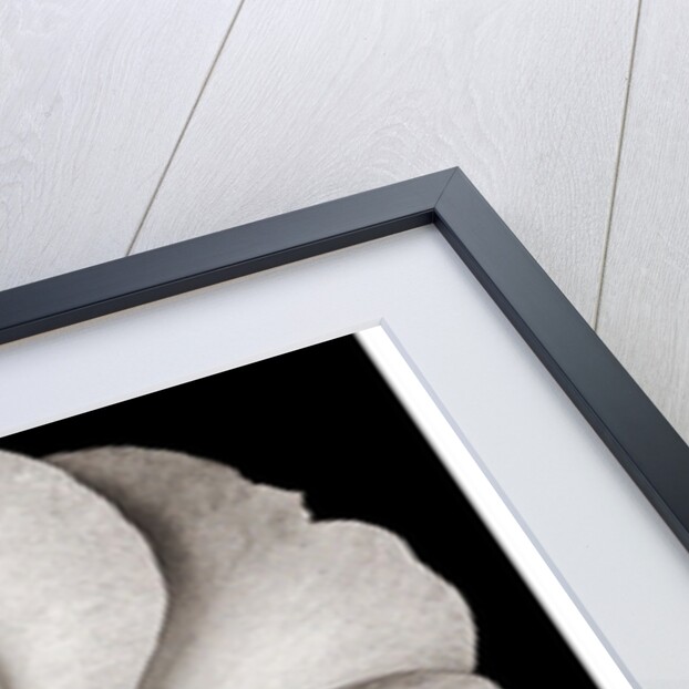 Untitled, 2019 by Alex Caminker