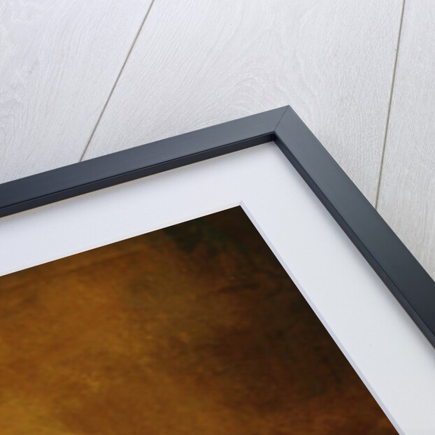 empty room, Elvaston Castle by Mark Gordon