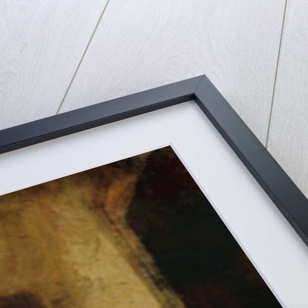 a corridor at Elvaston castle by Mark Gordon