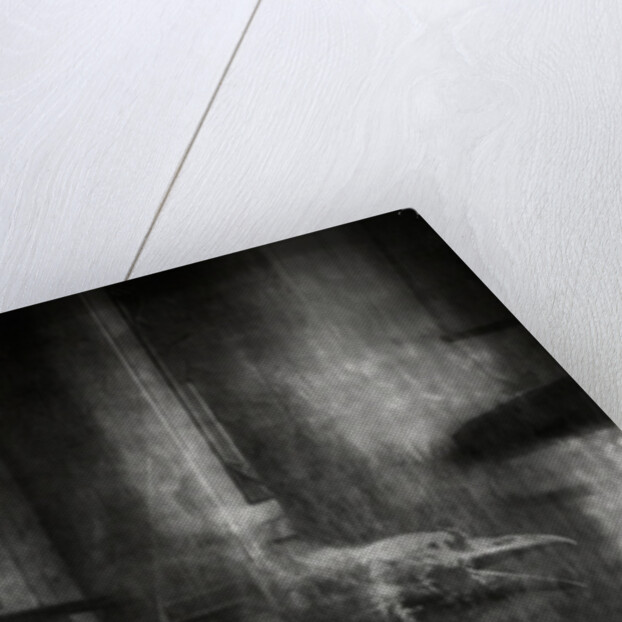 Beauty is a witch by Mark Gordon