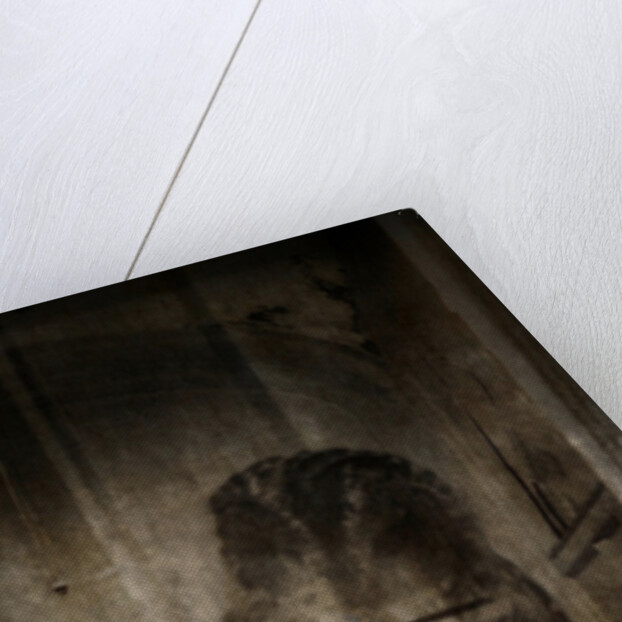 Beauty is a witch by Mark Gordon