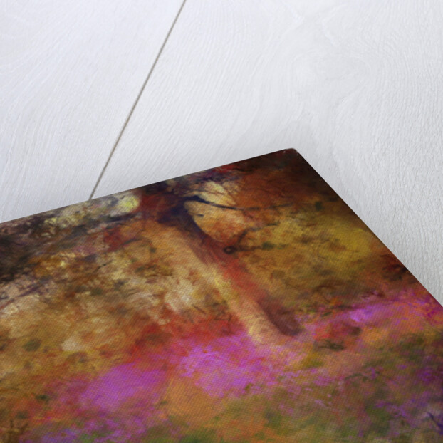 Bluebells at Calke Abbey by Mark Gordon